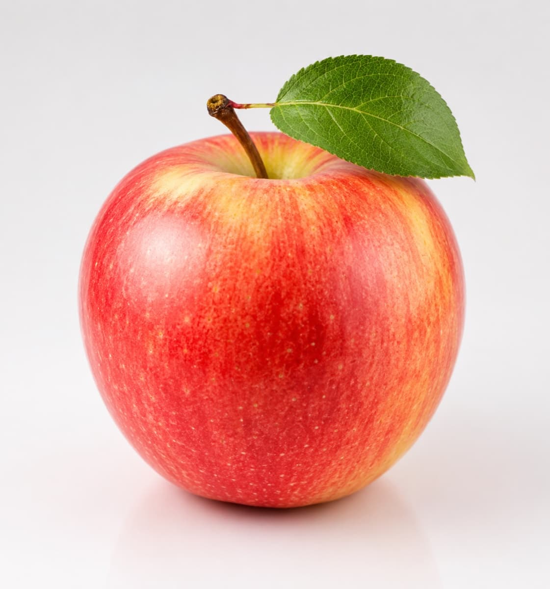 Fresh Gala Apple